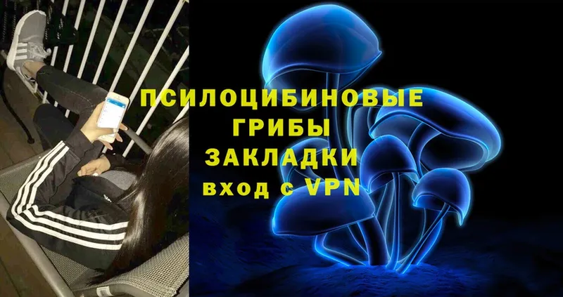 Галлюциногенные грибы мицелий  Жуковка 